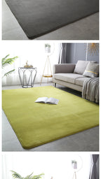 Coral Velvet Living Room Rug