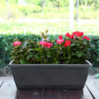 Vegetable Planter