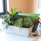 Vegetable Planter