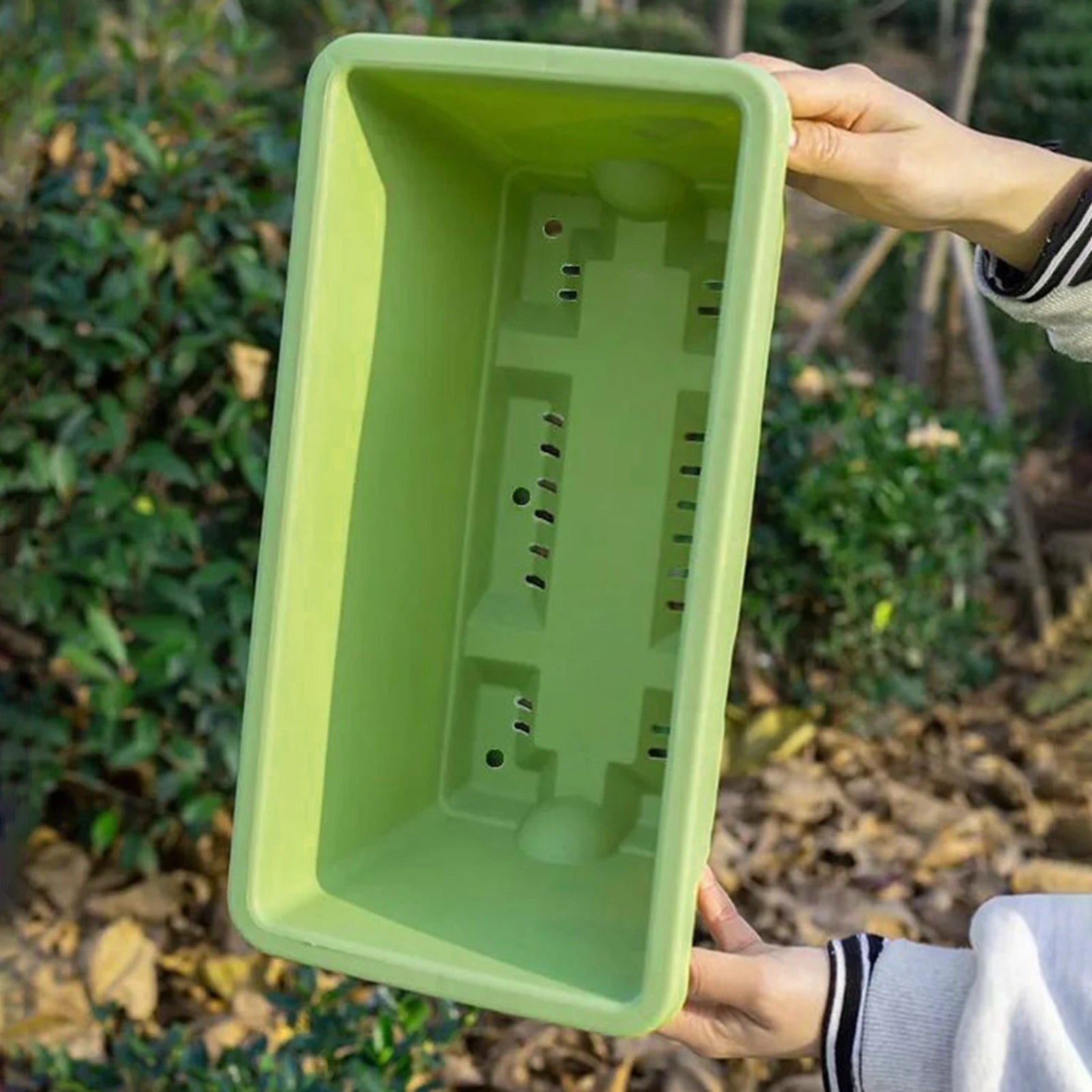 Vegetable Planter